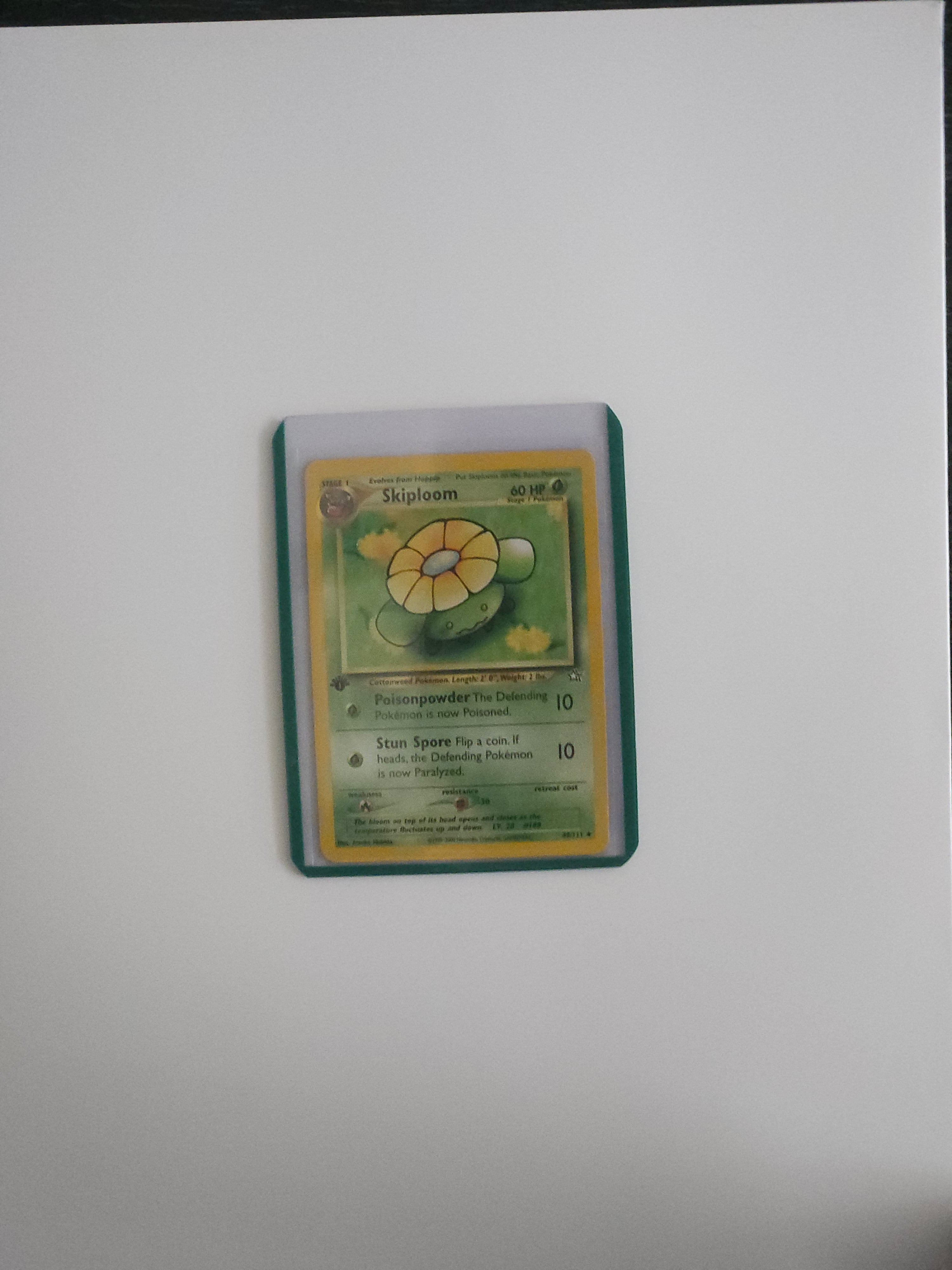 SKIPLOOM (FIRST EDITION)